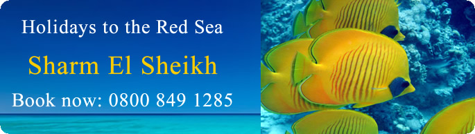 Holidays to Sharm El Sheikh